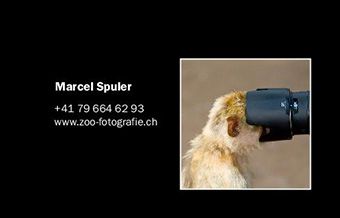 Tip der Woche