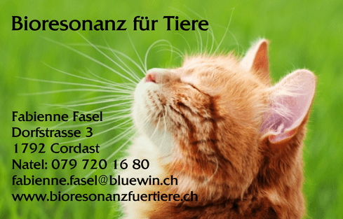 Tip der Woche