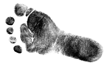 stempel-layouts-von-kunden-278667.jpg 278667