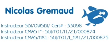 tauchstempel-395480.jpg 395480