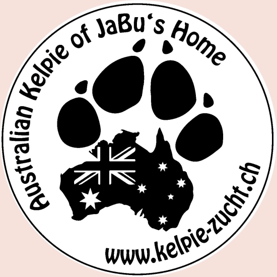 Timbro aziendale Svizzera