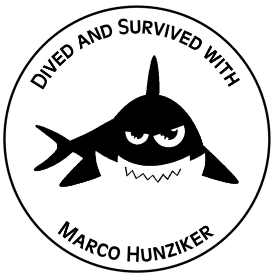 Timbri dell''indirizzo con cornice