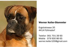 Visitenkarten-Bestellung 369408