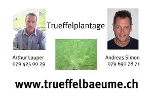 Visitenkarten-Bestellung 372546