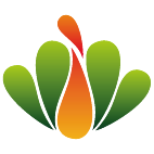 Logo 46: Show layouts with this logo