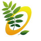 Logo 47: Show layouts with this logo