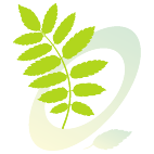 Logo 455: Show layouts with this logo