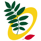 Logo 746: Show layouts with this logo