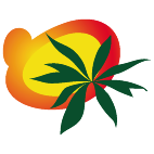 Logo 757: Show layouts with this logo