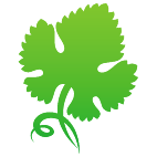 Logo 1919: Show layouts with this logo